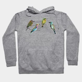 Bee-eater + Roller - Birds in Africa Hoodie